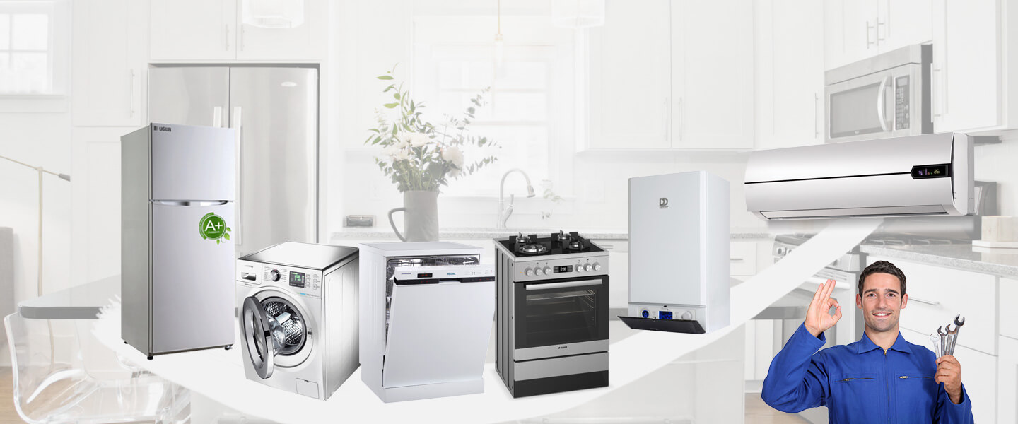 Baskil Electrolux Servisi